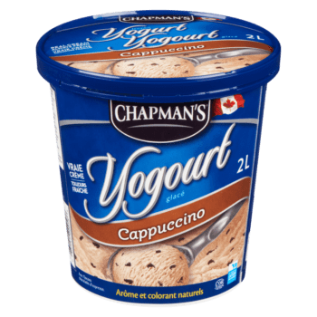 Chapman's Cappuccino Frozen Yogurt