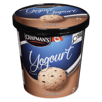 Chapman's Cappuccino Frozen Yogurt