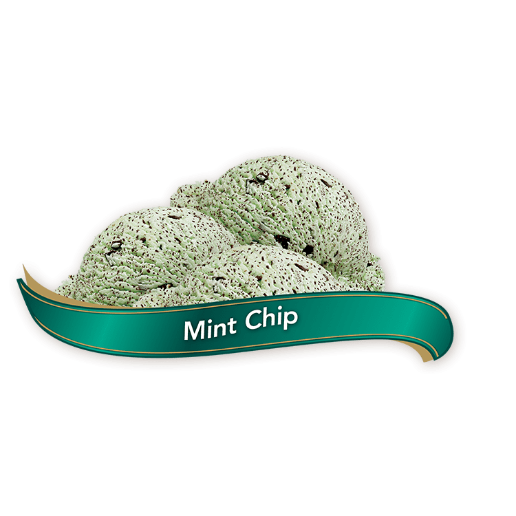 Chapman's Original Mint Chip Ice Cream