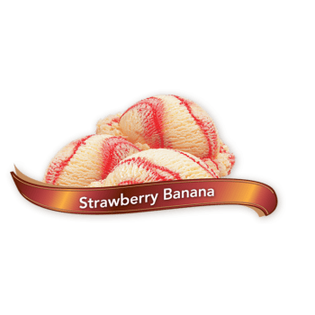 Chapman's Original Strawberry Banana Ice Cream