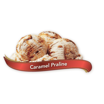 Chapman's Premium Caramel Praline Ice Cream