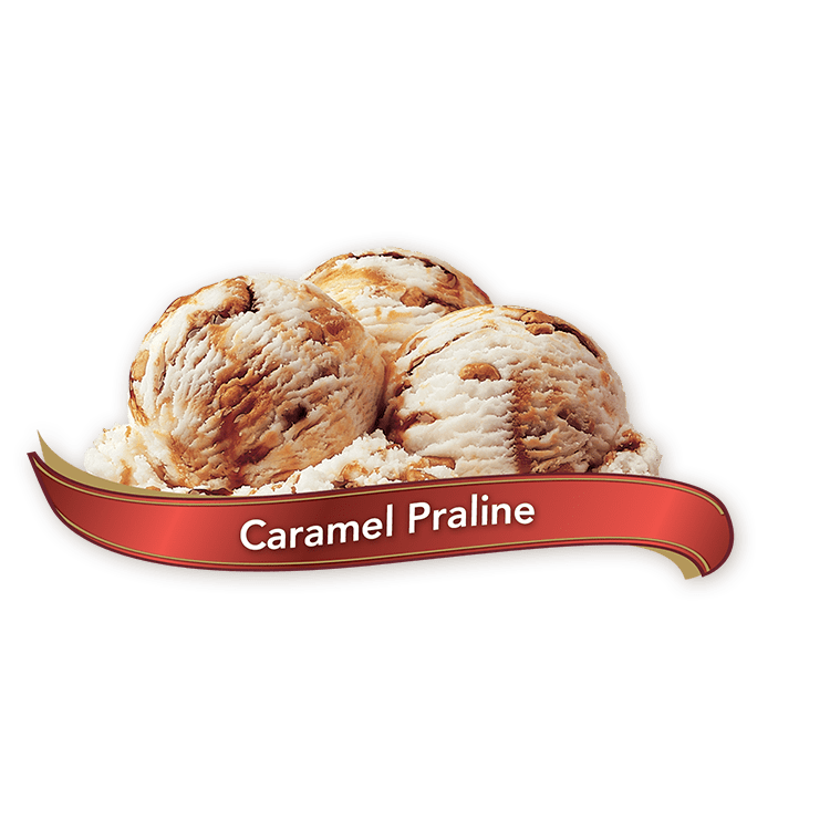 Chapman's Premium Caramel Praline Ice Cream