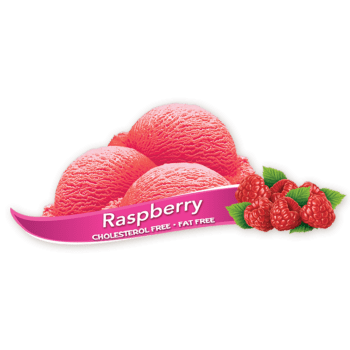 Chapman's Raspberry Sorbet