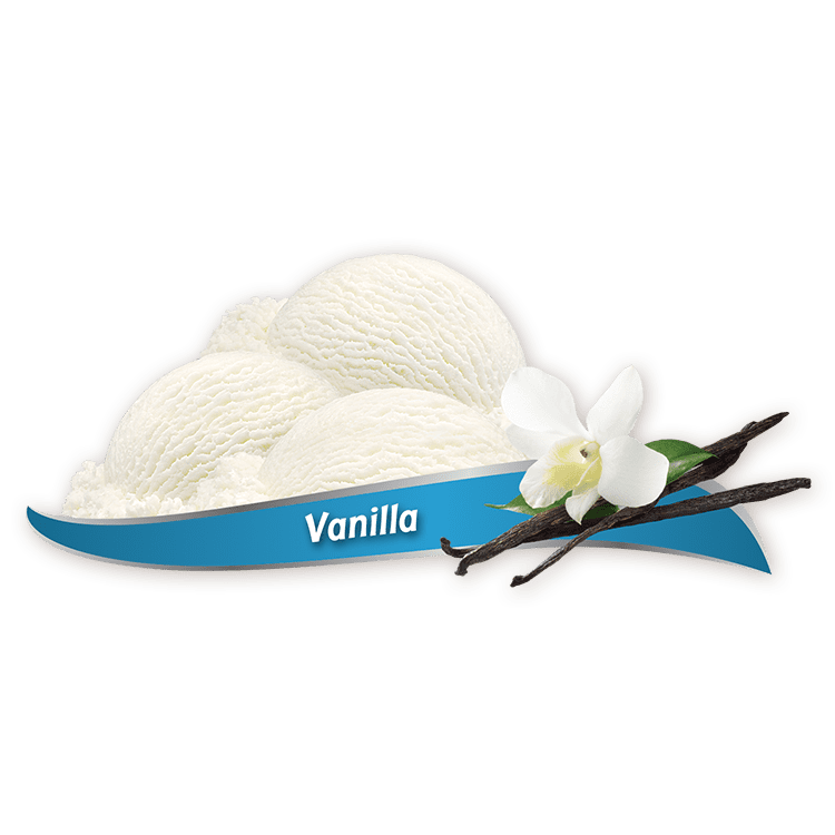 Chapman's Vanilla Frozen Yogurt