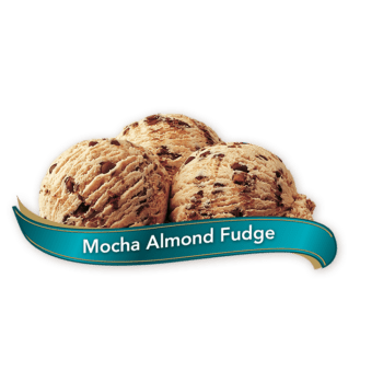 Chapman's Premium Mocha Almond Fudge Ice Cream