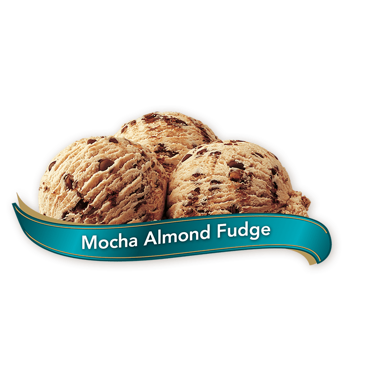 Chapman's Premium Mocha Almond Fudge Ice Cream