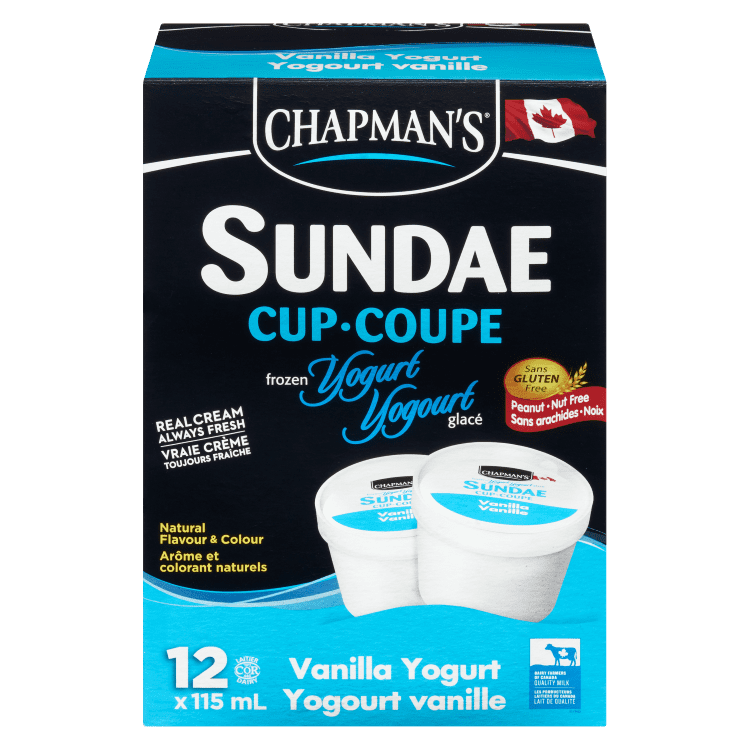 Chapman's Vanilla Frozen Yogurt