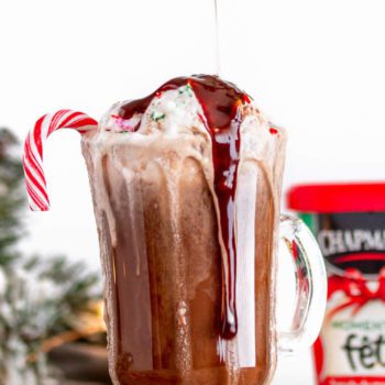 Peppermint Twist Hot Chocolate made with Chapman's Holiday Moments Peppermint Twist Ice Cream
