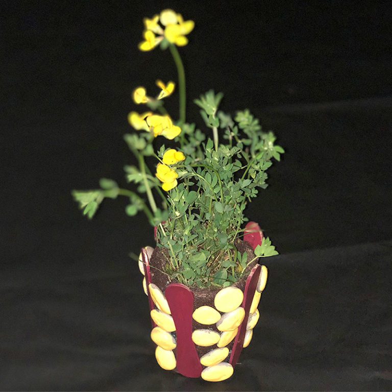 Mini flower pot made using Chapman's Canadian Collection sticks