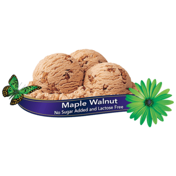 Chapman's Maple Walnut Ice Cream
