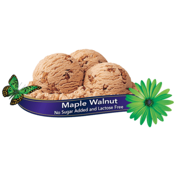 Chapman's Maple Walnut Ice Cream