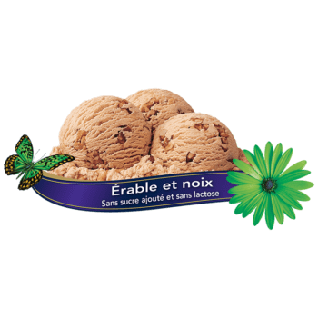 Chapman's Maple Walnut Ice Cream