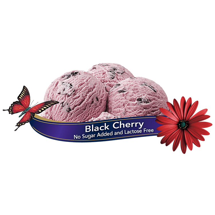 Chapman's Black Cherry Ice Cream