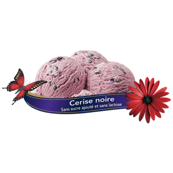 Chapman's Black Cherry Ice Cream