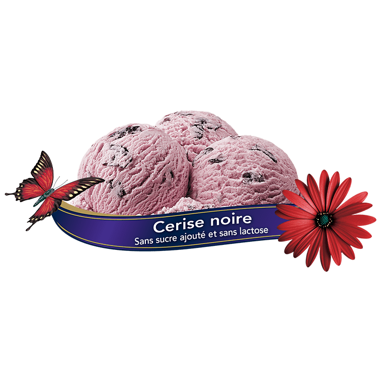 Chapman's Black Cherry Ice Cream