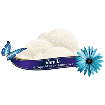 Chapman's Vanilla Ice Cream