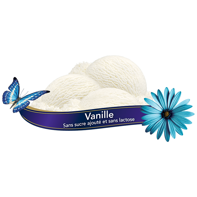 Chapman's Vanilla Ice Cream