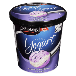 Tub of Canadian Blueberries & Cream Frozen Yogurt