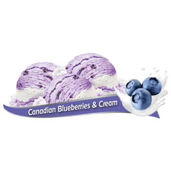 Scoops of Chapman's Canadian Blueberries & Cream Frozen Yogurt