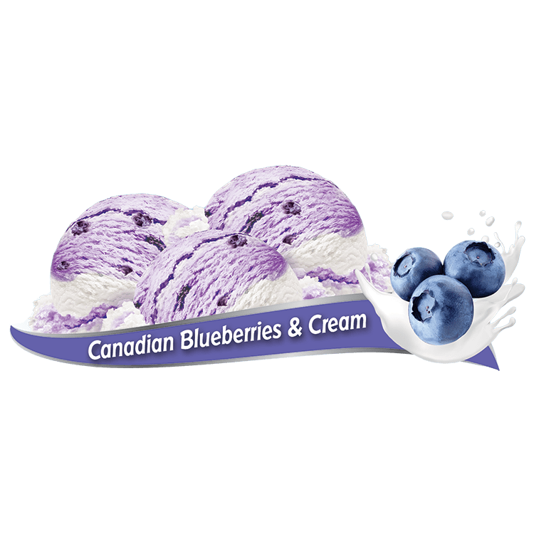 Scoops of Chapman's Canadian Blueberries & Cream Frozen Yogurt