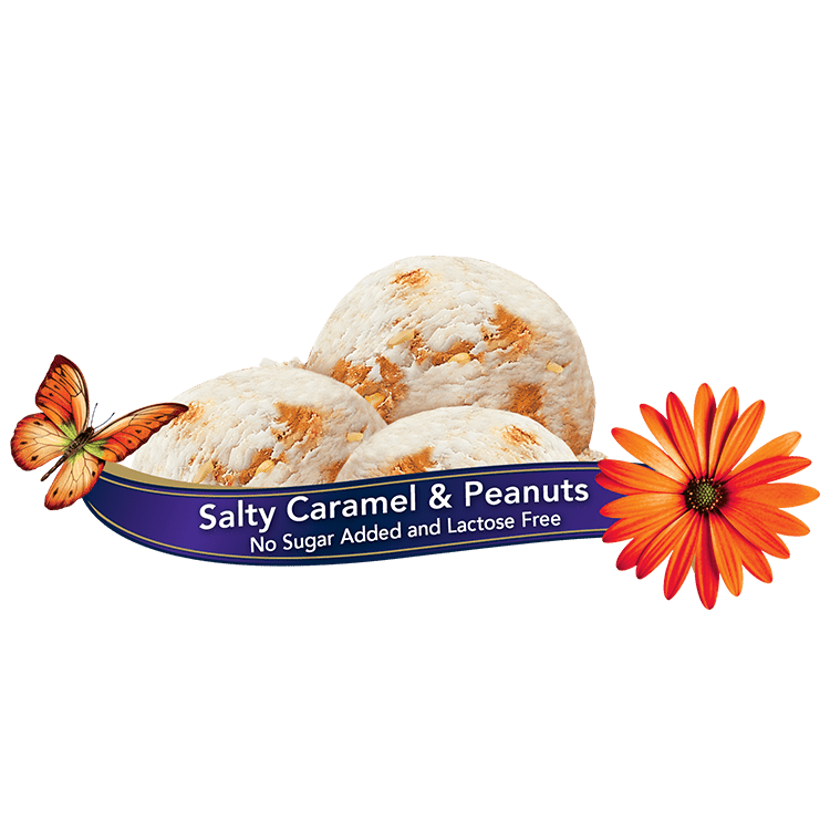 Scoops of Chapman's Salty Caramel & Peanuts No Sugar Added Ice Cream