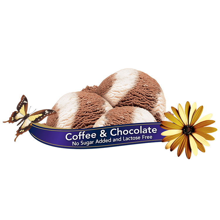 Scoops of Chapman's Coffee & Chocolate No Sugar Added Ice Cream